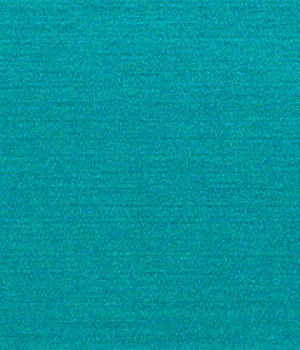 5829-07 Ray - Joy