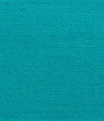 5829-07 Ray - Joy
