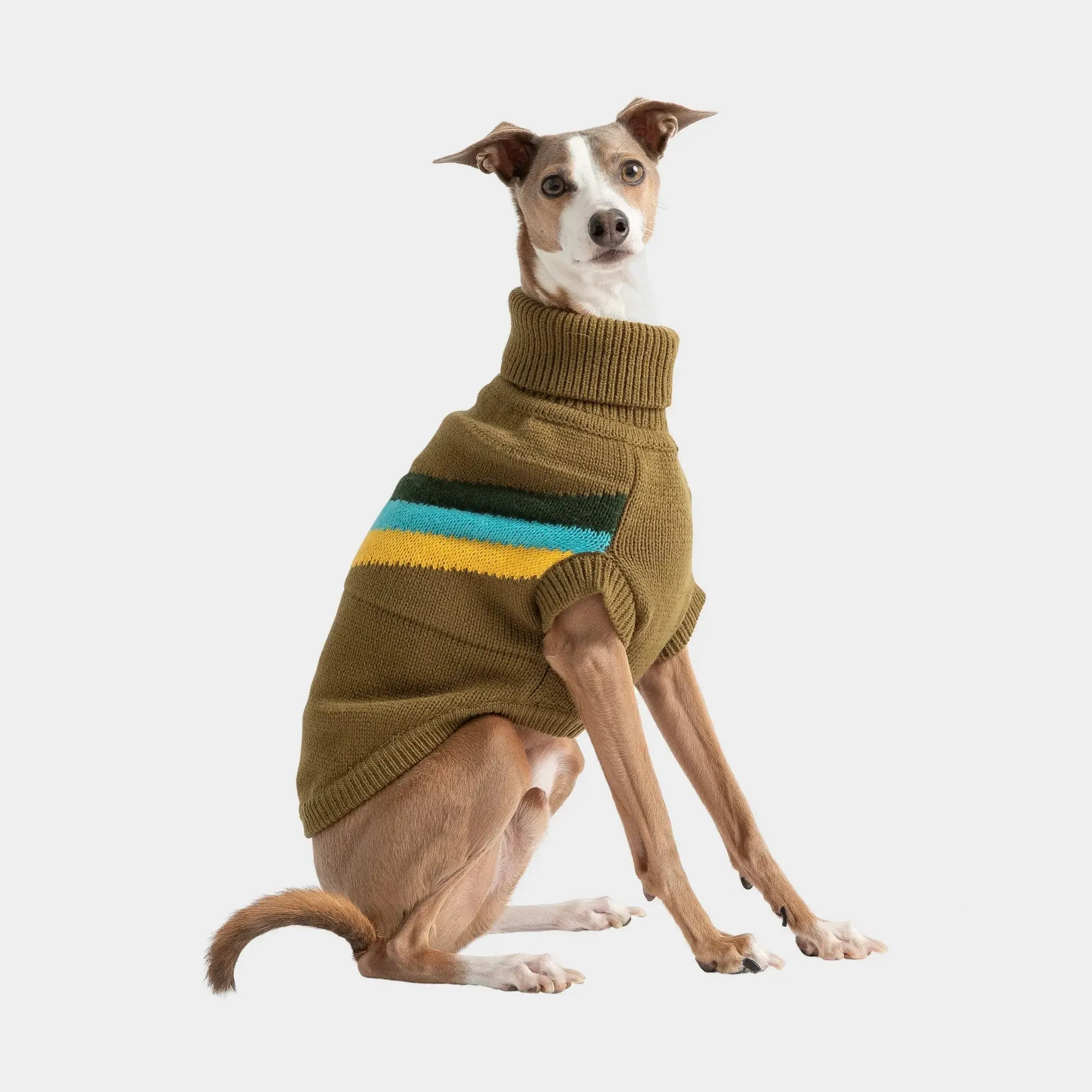 Alpine Dog Sweater | Dark Khaki