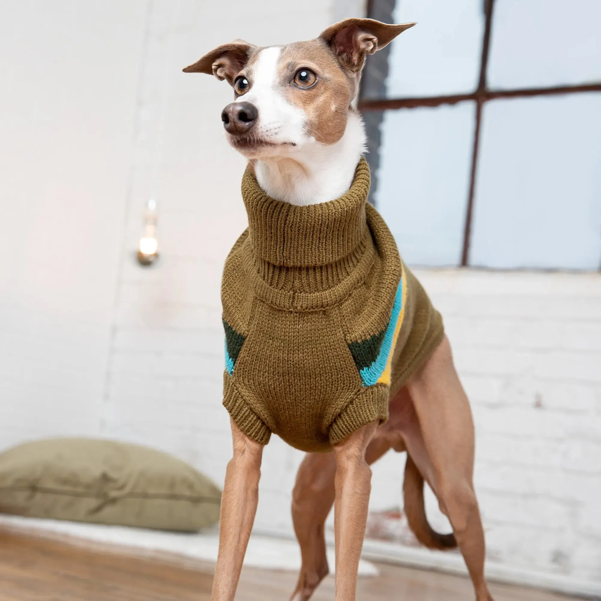 Alpine Dog Sweater | Dark Khaki