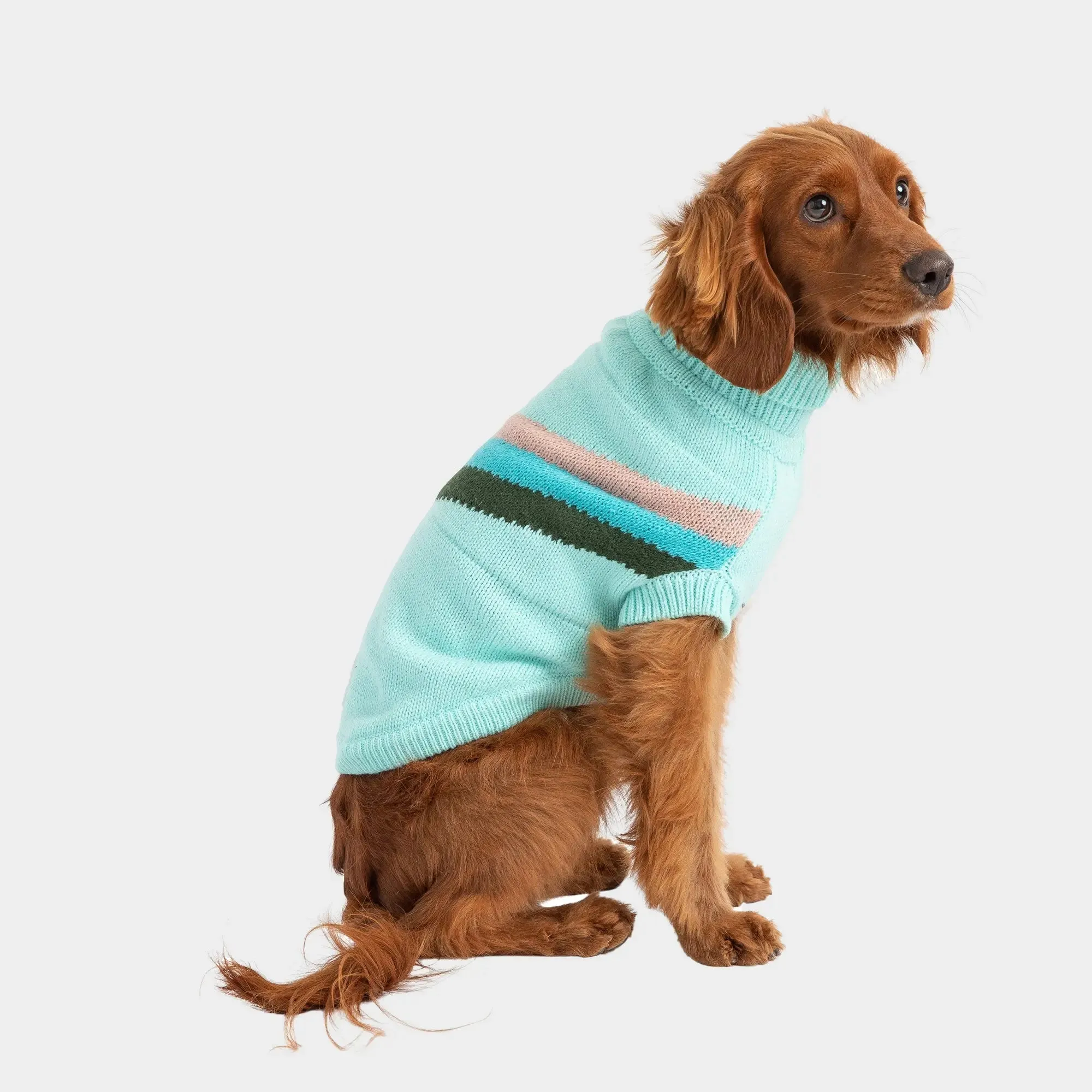 Alpine Dog Sweater | Light Aqua