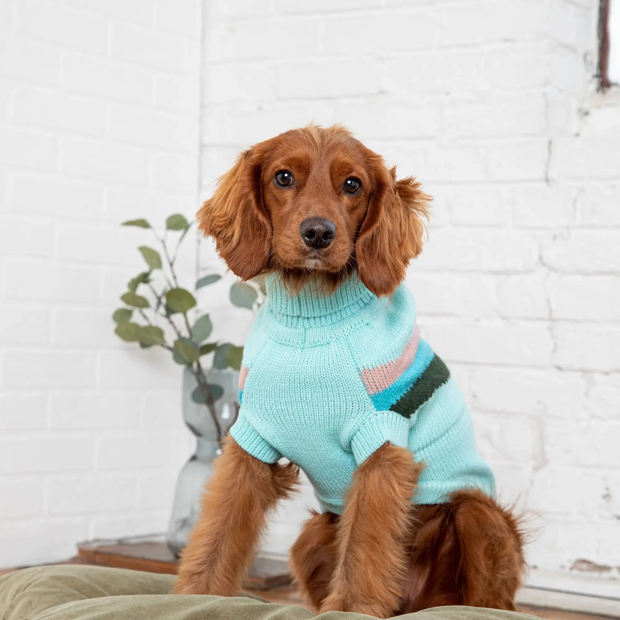 Alpine Dog Sweater | Light Aqua