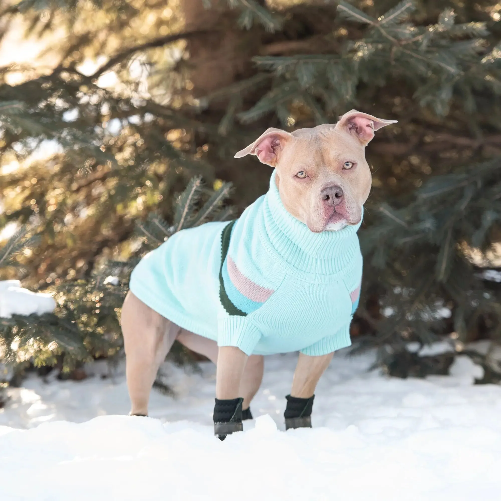 Alpine Dog Sweater | Light Aqua