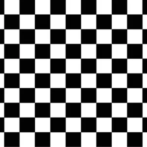 Beistle Black and White Checkered Backdrop 4' x 30' (1/Pkg) Party Supply Decoration : Racing