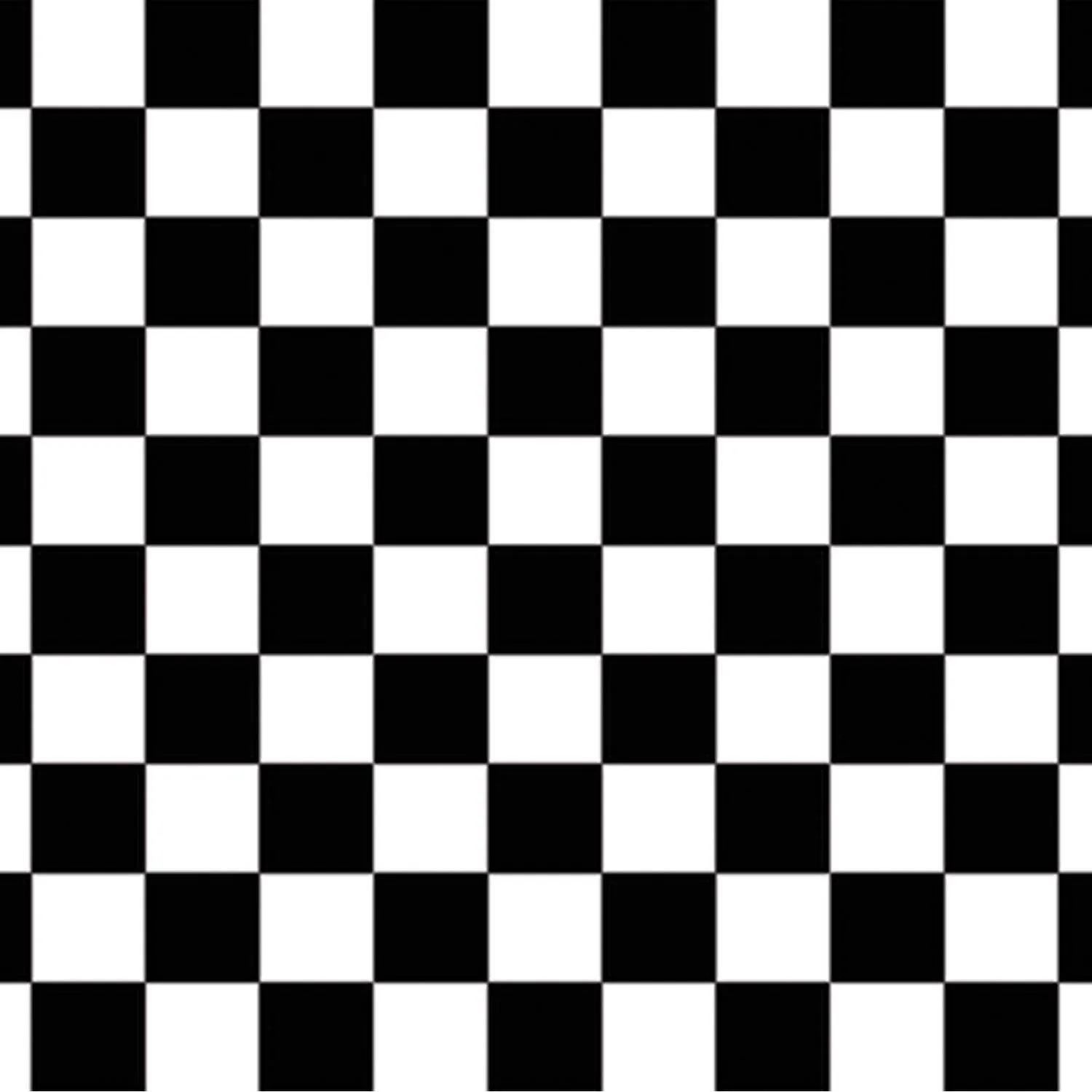 Beistle Black and White Checkered Backdrop 4' x 30' (1/Pkg) Party Supply Decoration : Racing