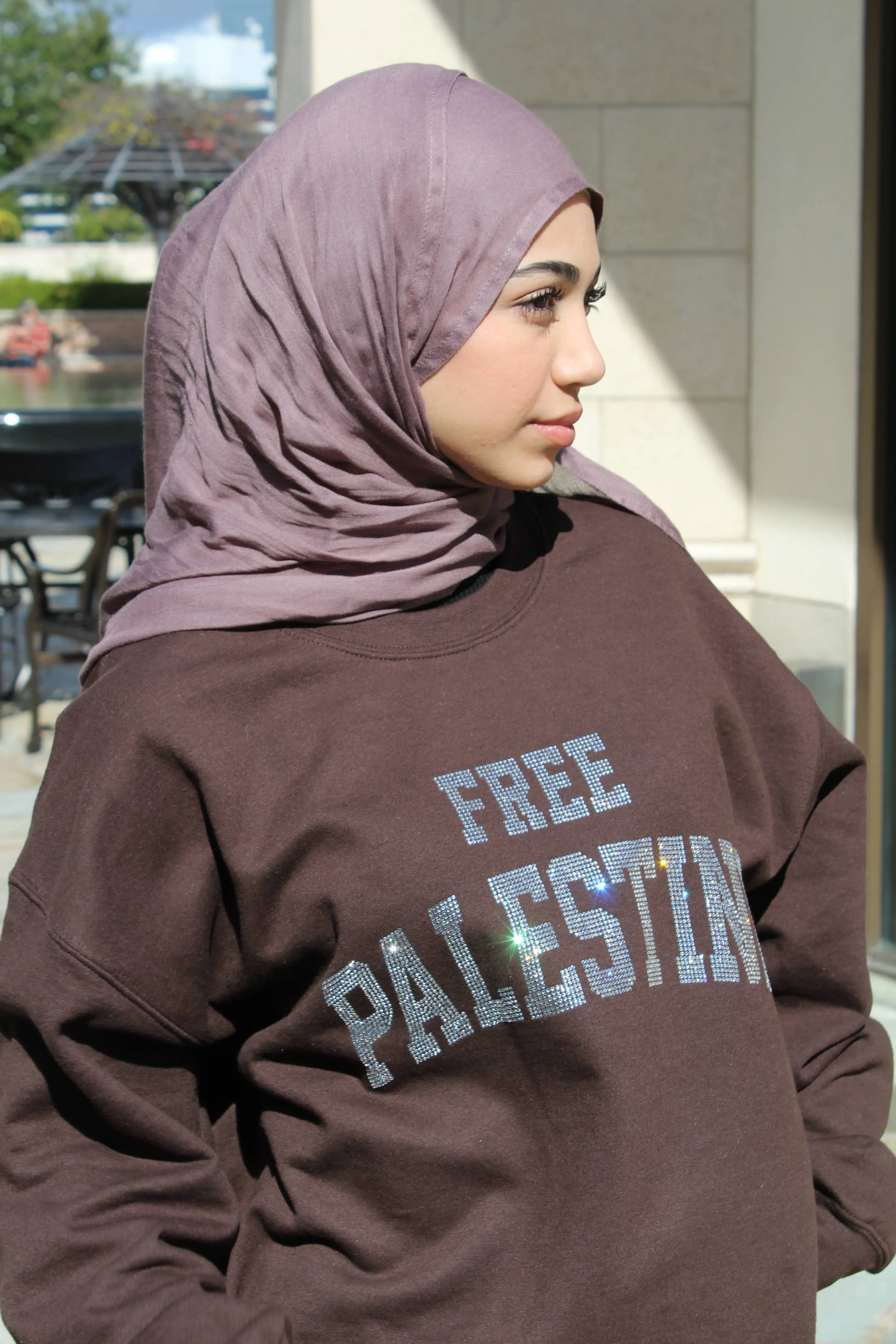 Brown Rhinestone Palestine Sweater