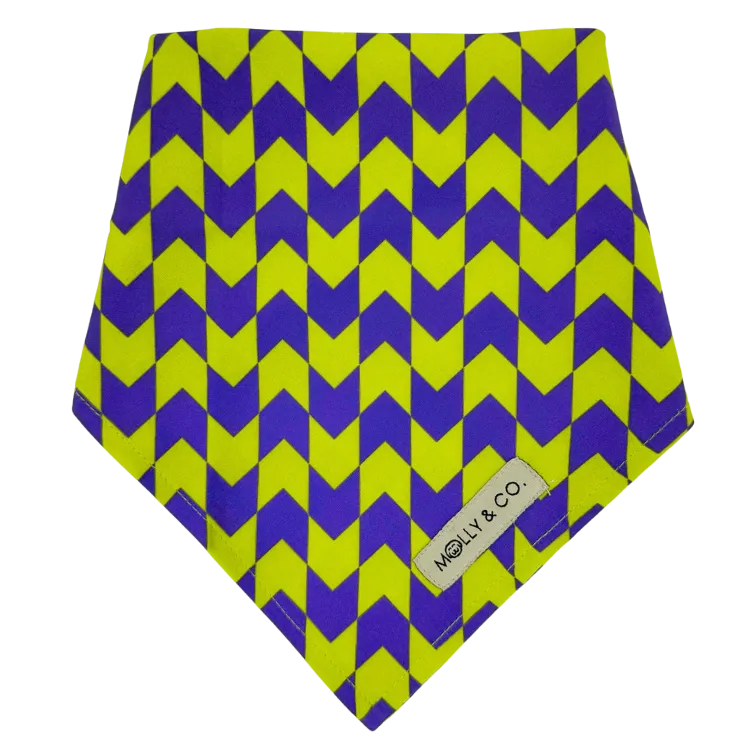 Fetch Master - Dog Bandana
