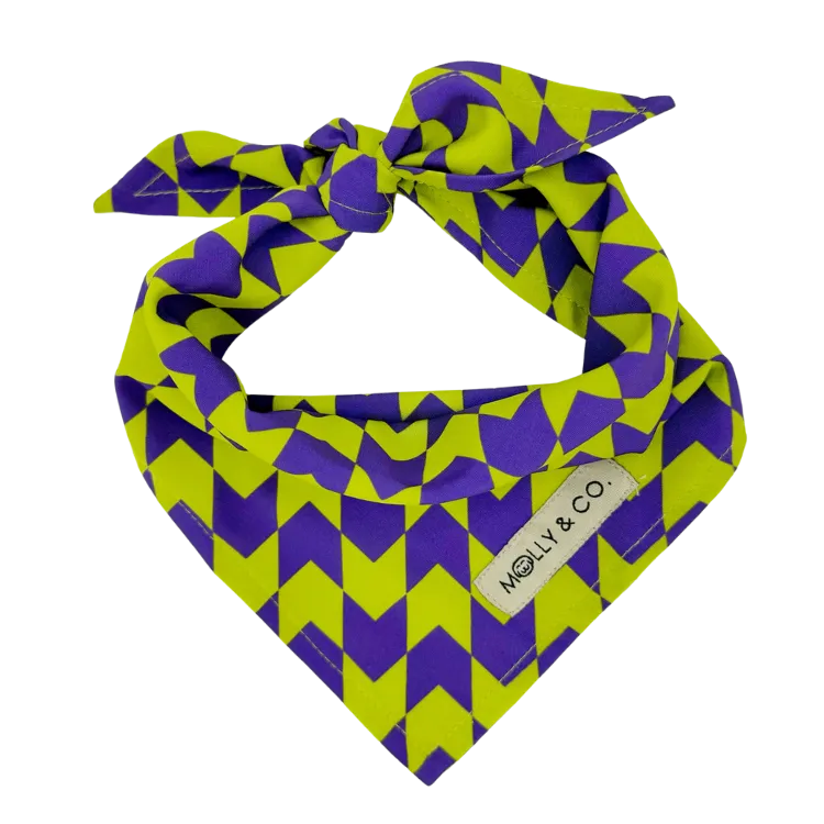 Fetch Master - Dog Bandana