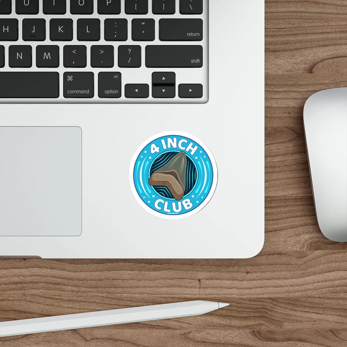 Megalodon 4 Inch Club Round Sticker