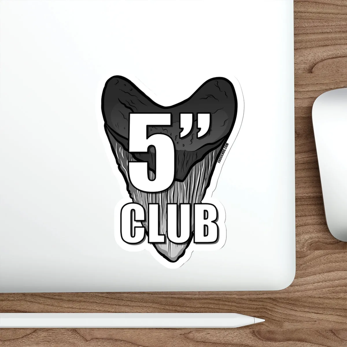 Megalodon 5 Inch Club Sticker