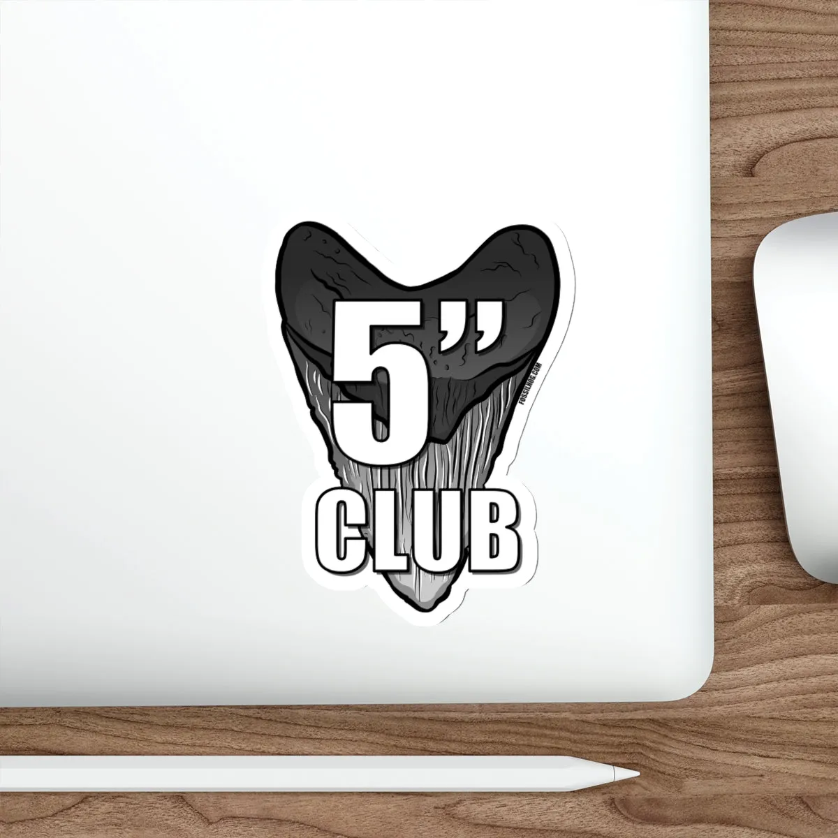 Megalodon 5 Inch Club Sticker
