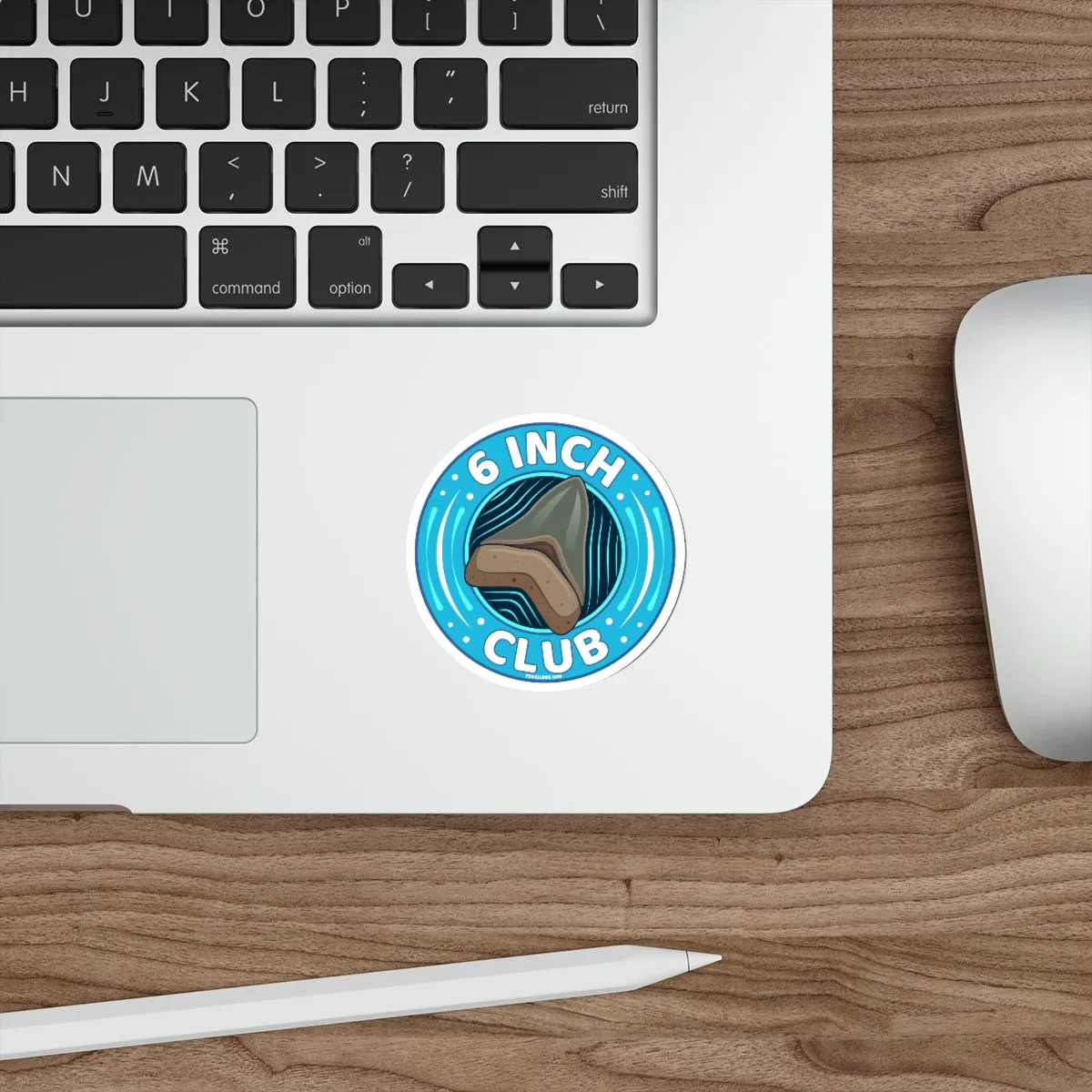 Megalodon 6 Inch Club Round Sticker
