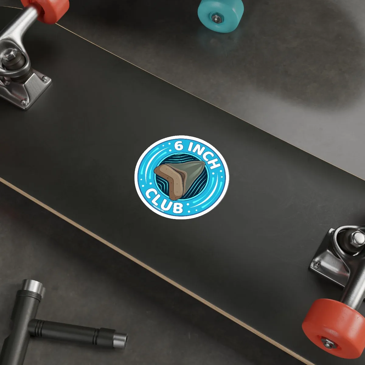 Megalodon 6 Inch Club Round Sticker