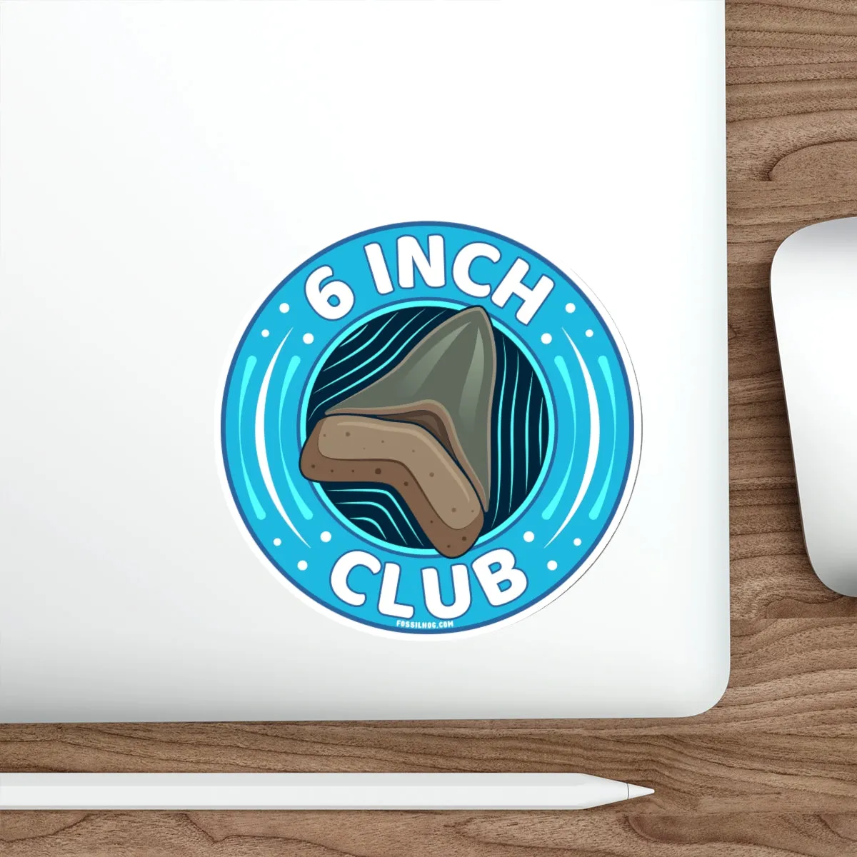Megalodon 6 Inch Club Round Sticker