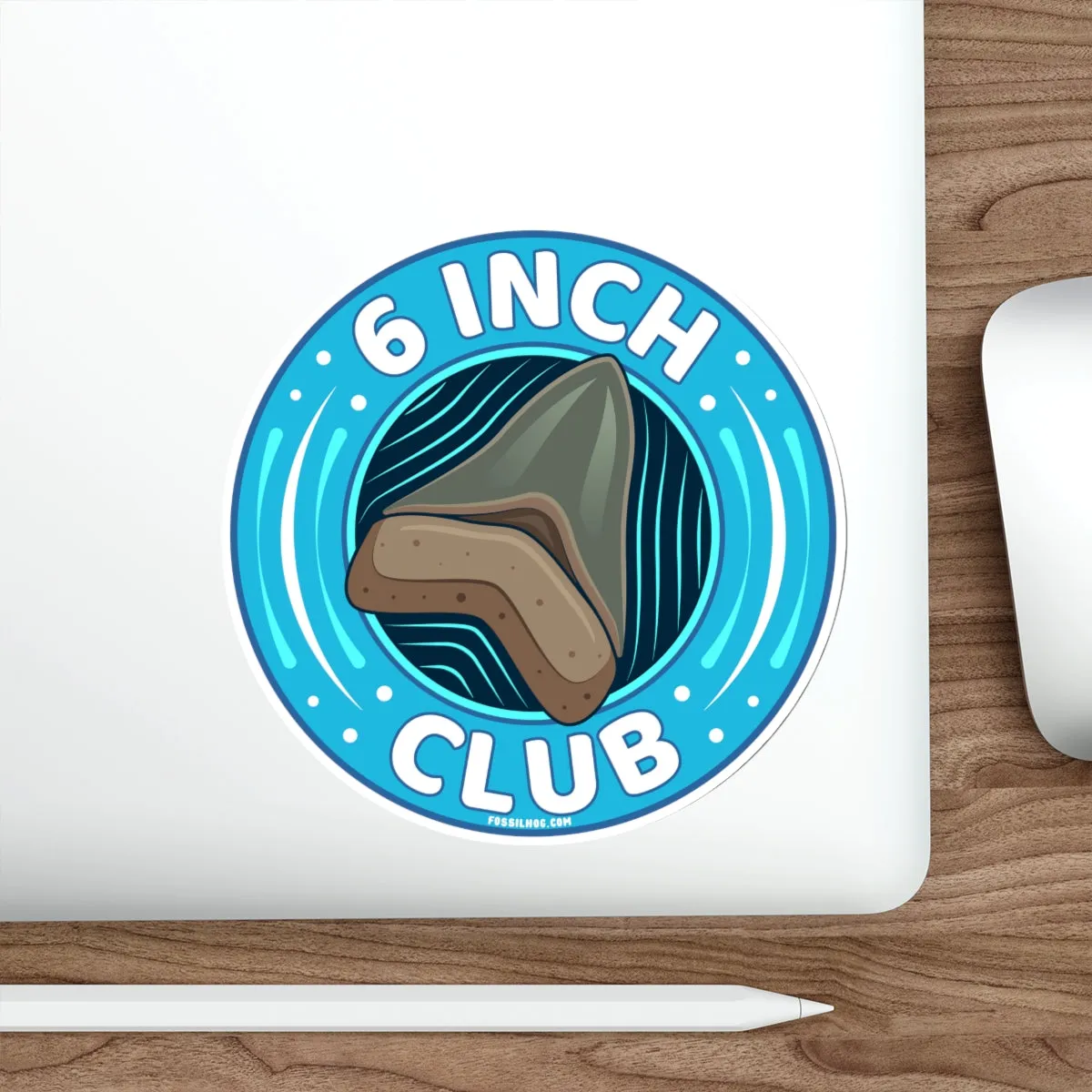 Megalodon 6 Inch Club Round Sticker