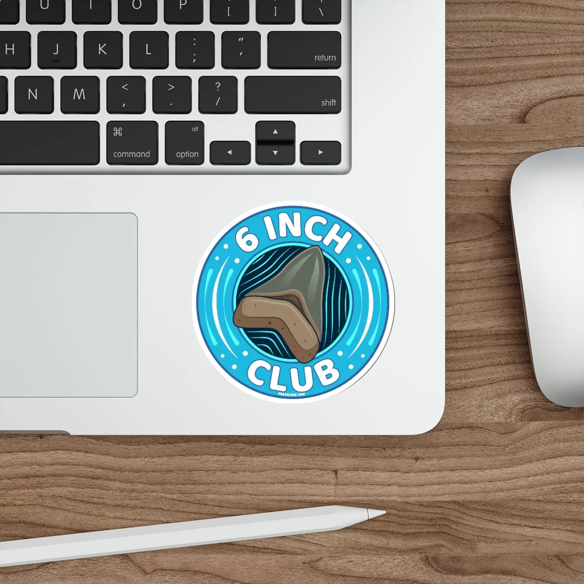 Megalodon 6 Inch Club Round Sticker