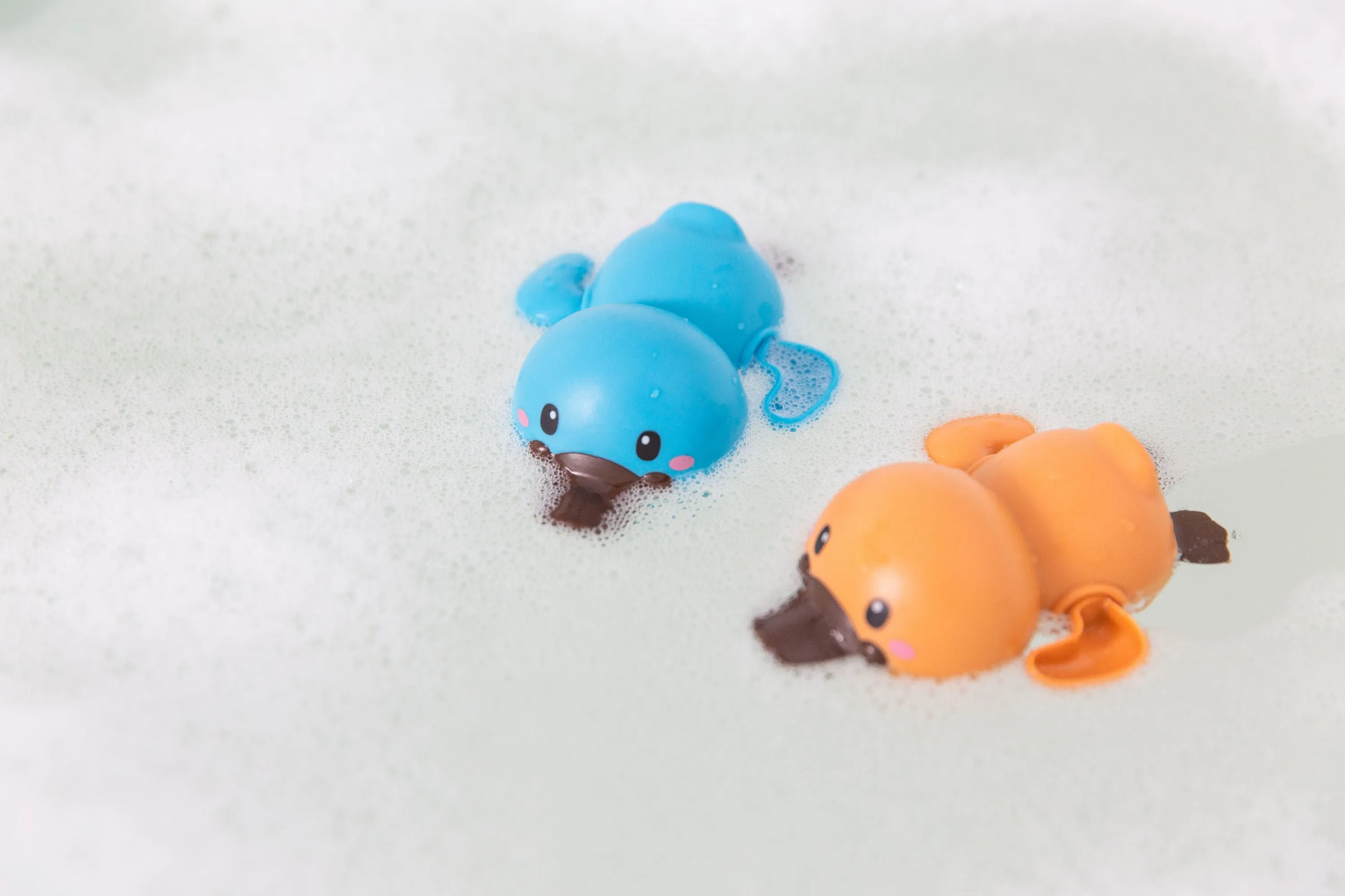 Tiger Tribe | Bath Racers | Platypuses